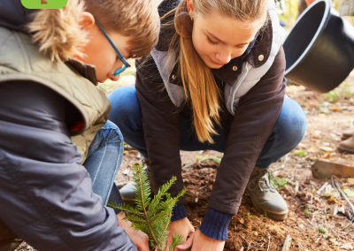 Level 3 Award in Forest School First Aid (Top up) (RQF)